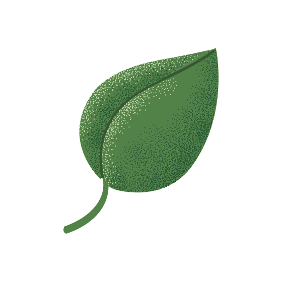 Green Leaf Graphic